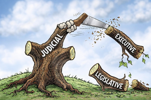 TheTreeOfJustice